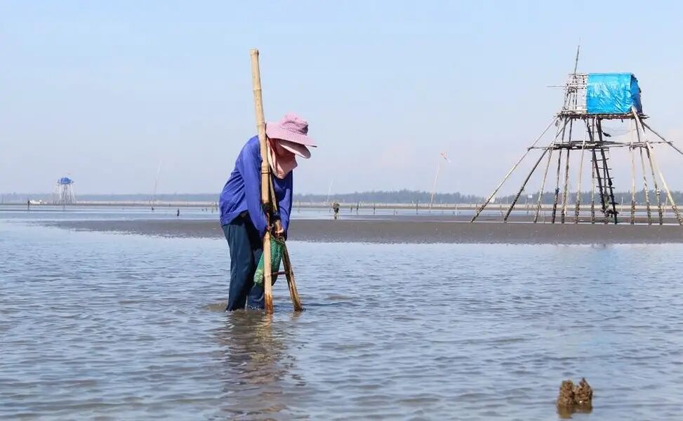 Con Vanh Beach Thai Binh Hung Yen Province